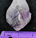 Raw Bahia Amethyst Root/Fang w/Rainbows💜🫚🤩✨🌈