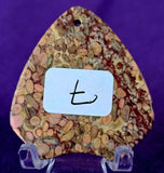 Agatized Coral Fossil Crystal Cabochon 📿🌊🪸