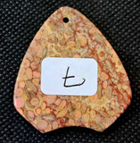 Agatized Coral Fossil Crystal Cabochon 📿🌊🪸