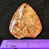 Agatized Coral Fossil Crystal Cabochon 📿🌊🪸