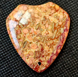 Agatized Coral Fossil Crystal Cabochon 📿🌊🪸