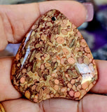 Agatized Coral Fossil Crystal Cabochon 📿🌊🪸