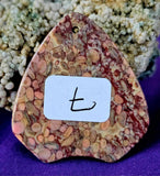 Agatized Coral Fossil Crystal Cabochon 📿🌊🪸