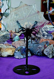 LG. Rainbow Fluorite Crystal Spiderweb Carving w/Black Metal Spider Stand 🕷️🌈🕸️
