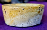 Fossilized Coral Shell Crystal Trinket Box 🐚🪸🟡🎁