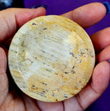 Fossilized Coral Shell Crystal Trinket Box 🐚🪸🟡🎁