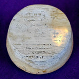 Fossilized Coral Shell Crystal Trinket Box 🐚🪸🟡🎁