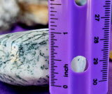 LG. Tree Agate Crystal Puffy Heart w/Gold Colored Metal Display Stand 🤍✨💚