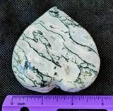 LG. Tree Agate Crystal Puffy Heart w/Gold Colored Metal Display Stand 🤍✨💚