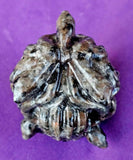 Yooperlite Crystal Medusa Head Carving 😍🤍🖤🧡🐍