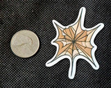 Golden Spider Web Enchanted Sticker