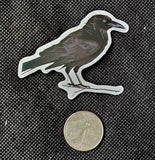 Raven 🐦‍⬛ Enchanted Sticker