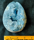 LG. Raw Blue Celestite Crystal Egg Geode 💙🍳🐣🥚🔵