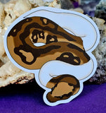 Piebald Ball Python Waterproof Vinyl Decal Sticker 🤎🐍🤍