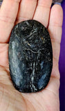 LG. Arfvedsonite aka Fireworks Stone w/Garnet Crystal Palmstone 🖤🎇🎆❤️