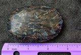 LG. Arfvedsonite aka Fireworks Stone w/Garnet Crystal Palmstone 🖤🎇🎆❤️