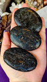LG. Arfvedsonite aka Fireworks Stone w/Garnet Crystal Palmstone 🖤🎇🎆❤️