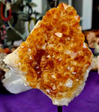 LG. Raw (Heat Treated) Citrine Specimen on Black Metal Display Stand 🤩🍊🌞✨😍