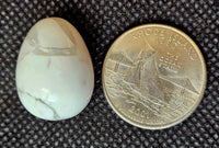 Howlite Mini Crystal Egg