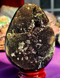 GIANT Septarian Crystal Egg Geode w/Druzy 🤯🤩🖤💛✨😍