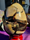 GIANT Septarian Crystal Egg Geode w/Druzy 🤯🤩🖤💛✨😍