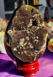 GIANT Septarian Crystal Egg Geode w/Druzy 🤯🤩🖤💛✨😍