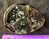 GIANT Septarian Crystal Egg Geode w/Druzy 🤯🤩🖤💛✨😍