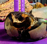 GIANT Septarian Crystal Egg Geode w/Druzy 🤯🤩🖤💛✨😍