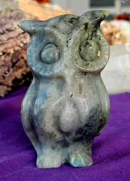 Labradorite Crystal Owl Statue 🗿🌈✨🦉