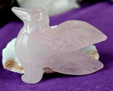 Assorted Crystal Hummingbird Carvings 🐦🪽✨🪶