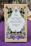 The Antique Anatomy Tarot Card Deck ♣️✨🃏🐦‍⬛