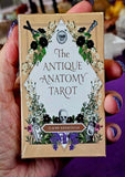The Antique Anatomy Tarot Card Deck ♣️✨🃏🐦‍⬛