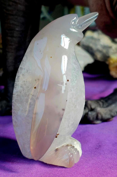 LG. Purple Agate Penguin Carving w/Druzy ✨🤩🐧💜