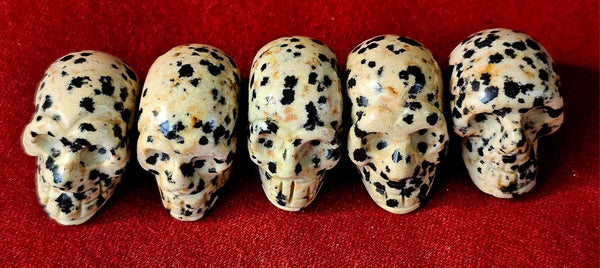 Dalmatian Jasper Mini Skull Carving 🤍💀🖤