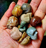 Assorted Jasper Crystal Mini Skull Carving 💀