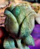 LG. Labradorite Crystal Rose Carving 🌹🥀😍