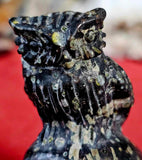 Plum Blossom Jasper Owl Perched on Skull Carving 💚💀🦉🌸🖤