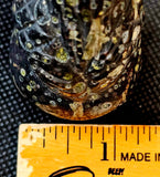 Plum Blossom Jasper Owl Perched on Skull Carving 💚💀🦉🌸🖤