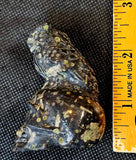 Plum Blossom Jasper Owl Perched on Skull Carving 💚💀🦉🌸🖤