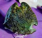 Labradorite Crystal Fish Carving 🐠✨🤩🐟