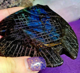 Labradorite Crystal Fish Carving 🐠✨🤩🐟
