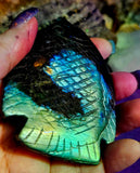 Labradorite Crystal Fish Carving 🐠✨🤩🐟