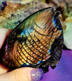 Labradorite Crystal Fish Carving 🐠✨🤩🐟