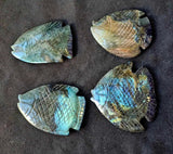 Labradorite Crystal Fish Carving 🐠✨🤩🐟