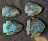Labradorite Crystal Fish Carving 🐠✨🤩🐟