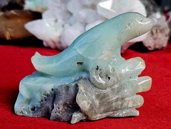 Caribbean Calcite Crystal Seal Basking on Rock 🪨🌊🦭