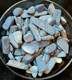Blue Coral 3oz Bag 💙🪸🌊
