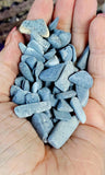 Blue Coral 3oz Bag 💙🪸🌊