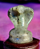 Mini Assorted Crystal Cobra Snake Figurine 🐍💎😍🐍