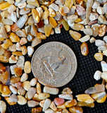 Crushed Coral Crystal Chips/Gravel 3oz